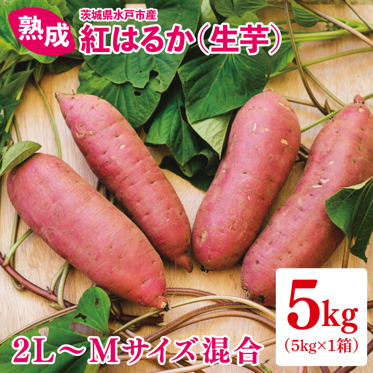 【12月より順次発送】熟成 紅はるか（生芋）2L～Mサイズ混合5kg【いも サツマイモ さつまいも 焼き芋 スイートポテト ふるさと納税 水戸市 水戸 茨城県 10000円以内 1万円以内】（IN-1)