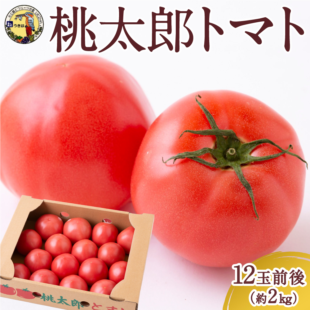 道の駅うきは 桃太郎トマト 12玉前後 (約2kg) 2024年12月1日から12月31日・2025年1月4日から5月20日 出荷予定