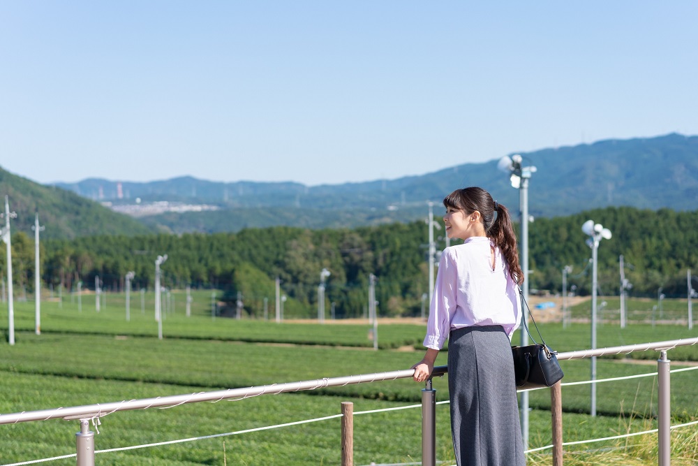 京都府宇治田原町