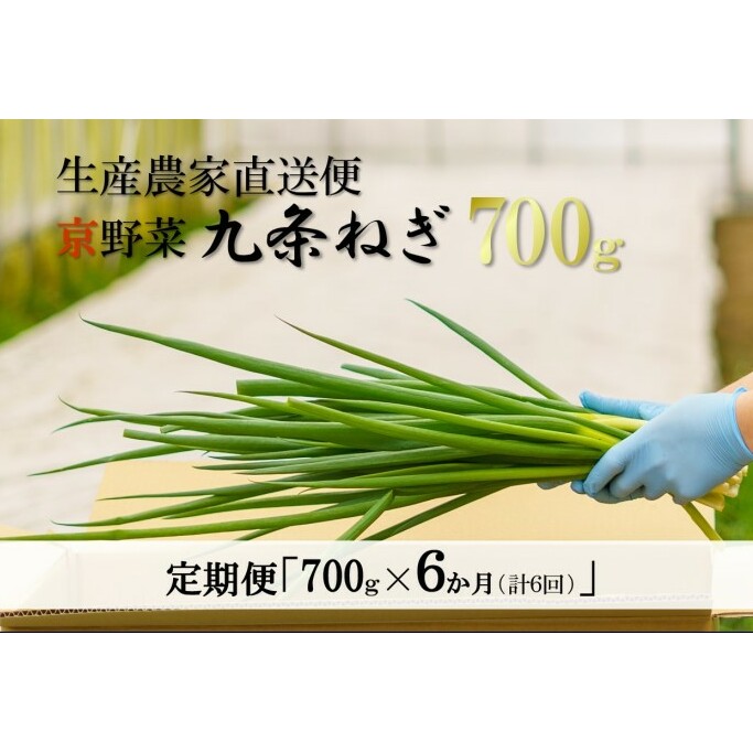 6か月定期便】生産農家直送 京野菜・九条ねぎ1kg〈定期便 ねぎ ネギ 葱 九条ねぎ 京野菜 京都 新鮮 甘い 農家直送 野菜〉 | 京都府宇治田原町  | JRE MALLふるさと納税