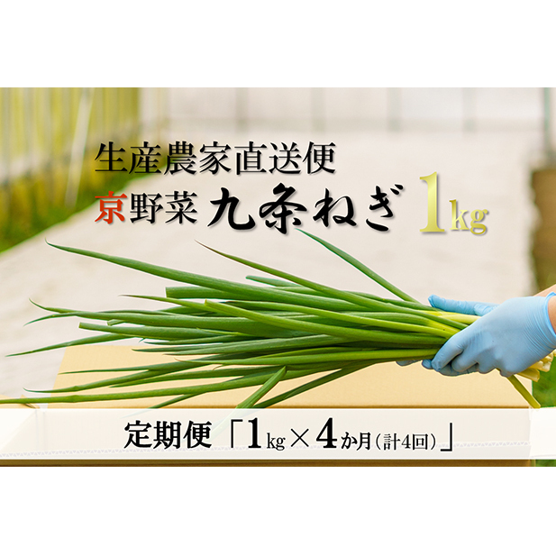 【4か月定期便】生産農家直送 京野菜・九条ねぎ1kg〈定期便 ねぎ ネギ 葱 九条ねぎ 京野菜 京都 新鮮 甘い 農家直送 野菜〉 4ヶ月 4回 