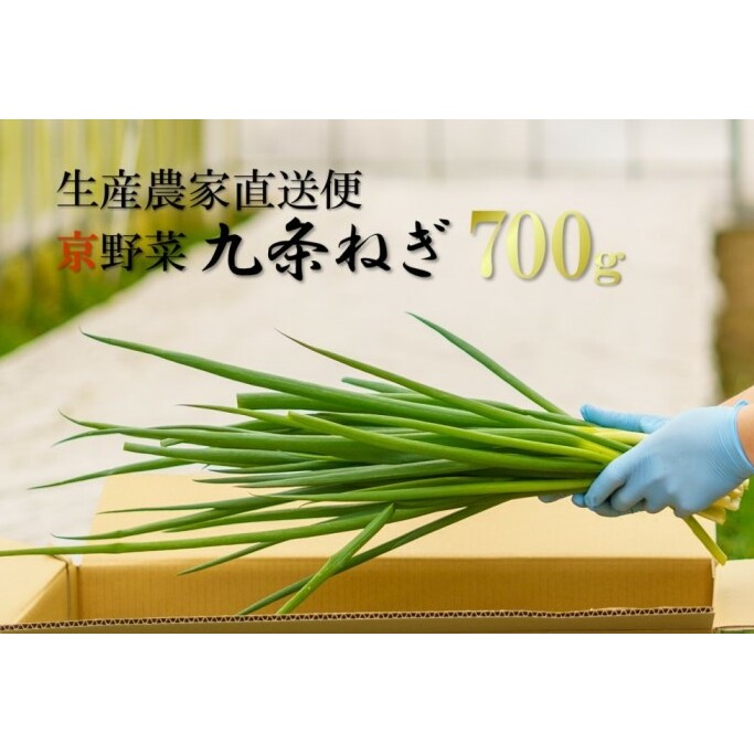 生産農家直送 京野菜・九条ねぎ700g〈ねぎ ネギ 葱 九条ねぎ 京野菜 京都 新鮮 甘い 農家直送 野菜〉 京都府産 薬味 料理 食材