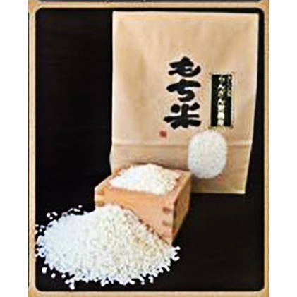 もち米「峰の雪もち」玄米 30kg お米 餅米 もち米 