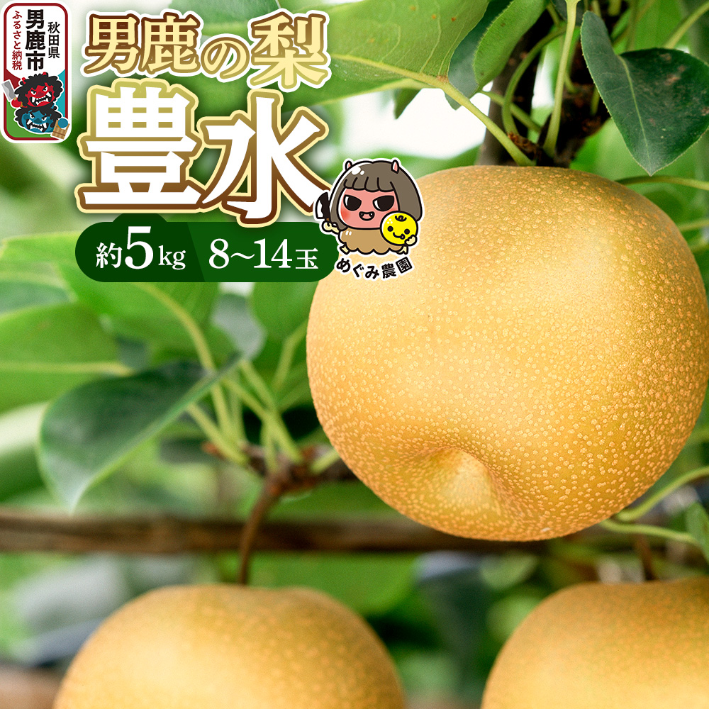 【先行受付】男鹿の梨 豊水 約5kg 8~14玉 梨 秋田県 男鹿市 <めぐみ農園>9月中旬より発送