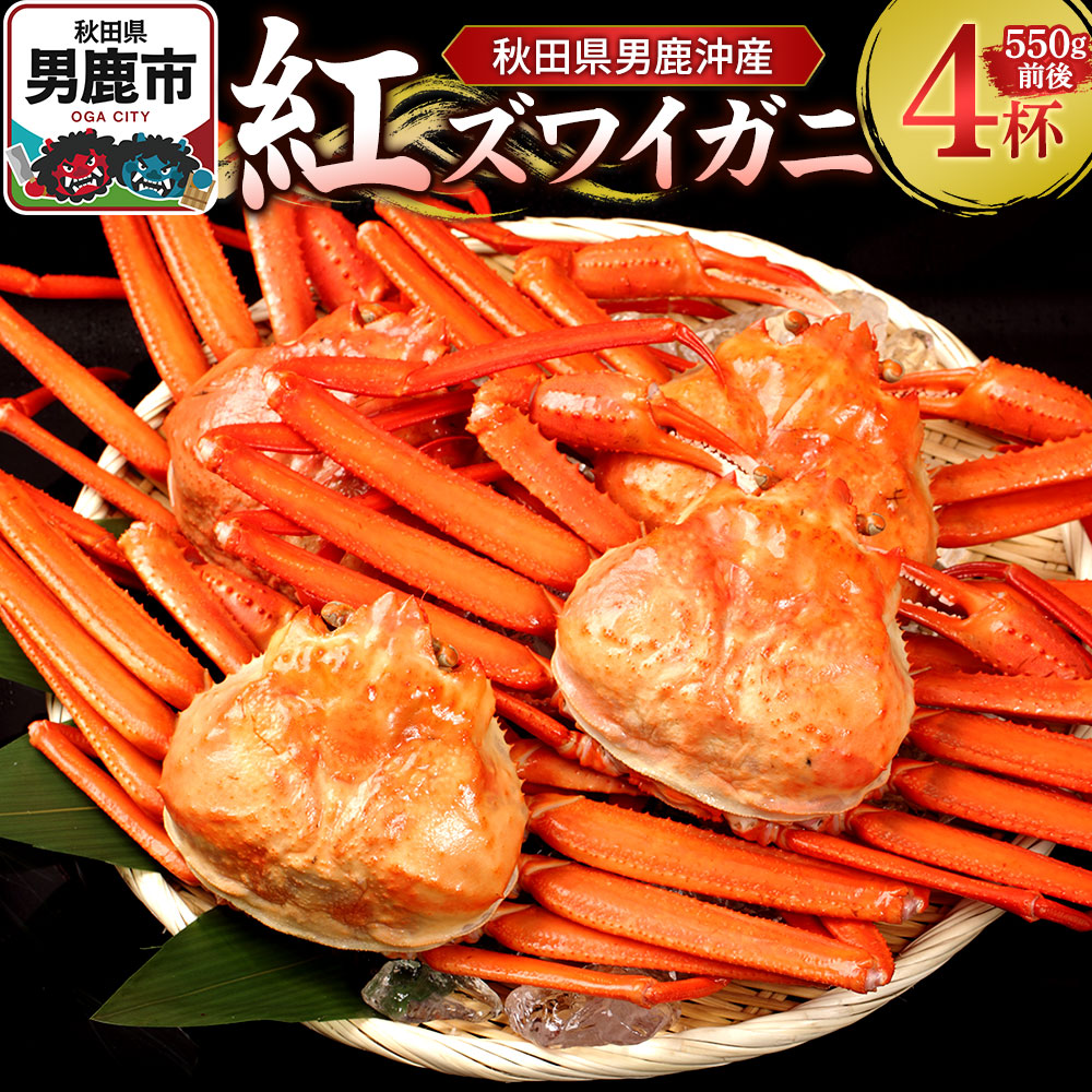 男鹿沖産紅ズワイガニ 550g 前後×4杯 男鹿なび 蟹 カニ 国産 秋田 ずわい蟹 ずわいガニ