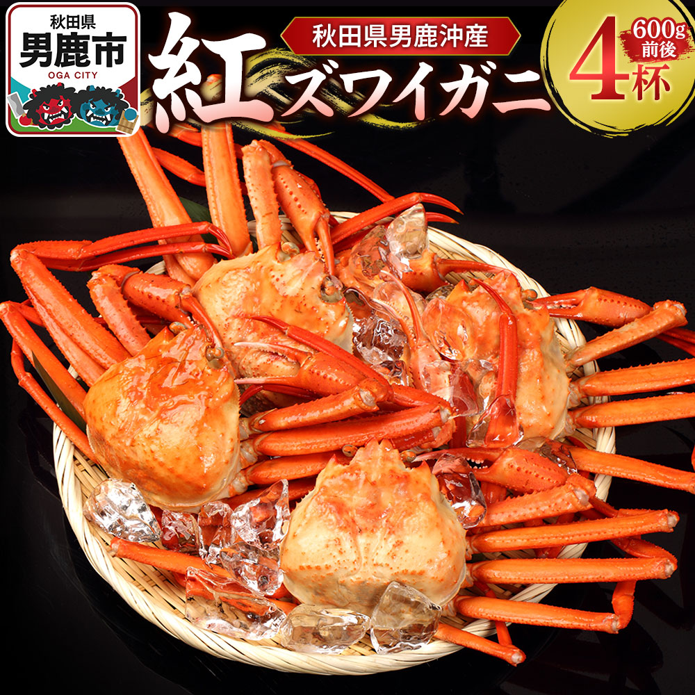 男鹿沖産紅ズワイガニ 600g 前後×4杯 男鹿なび 蟹 カニ 国産 秋田 ずわい蟹 ずわいガニ