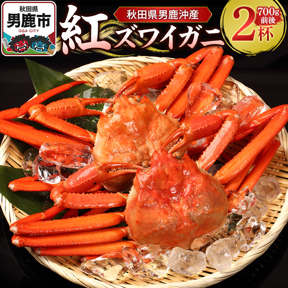 男鹿沖産紅ズワイガニ 700g 前後×2杯 男鹿なび 蟹 カニ 国産 秋田 ずわい蟹 ずわいガニ