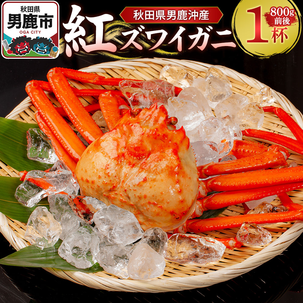男鹿沖産紅ズワイガニ 800g 前後×1杯 男鹿なび 蟹 カニ 国産 秋田 ずわい蟹 ずわいガニ