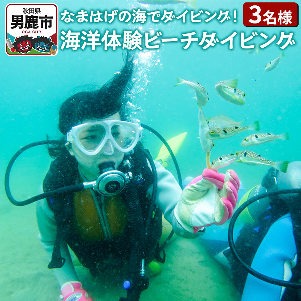 【なまはげの海でダイビング！！】 海洋体験ビーチダイビング 3名様 秋田県 男鹿半島 男鹿市