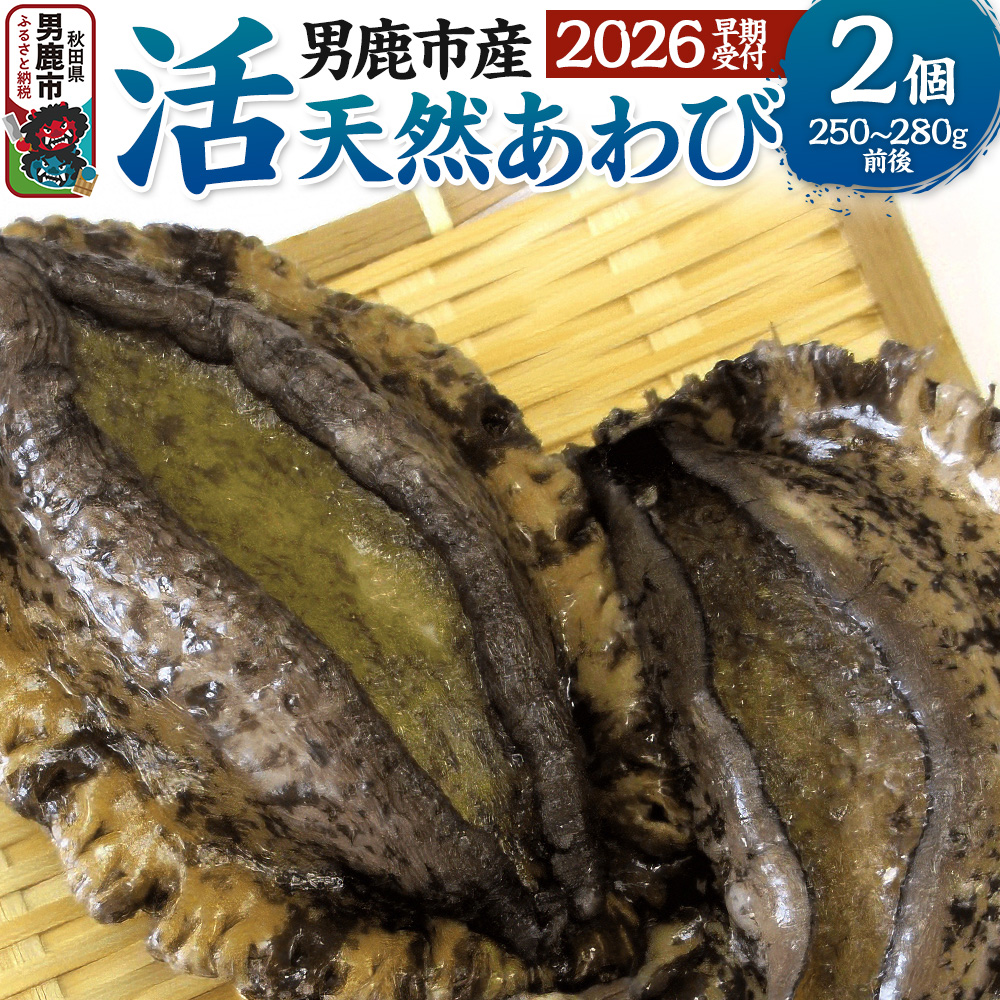 《2026年7月中旬~8月下旬発送》男鹿産天然鮑 1~3個 (約450~500g) あわび アワビ 秋田 男鹿産