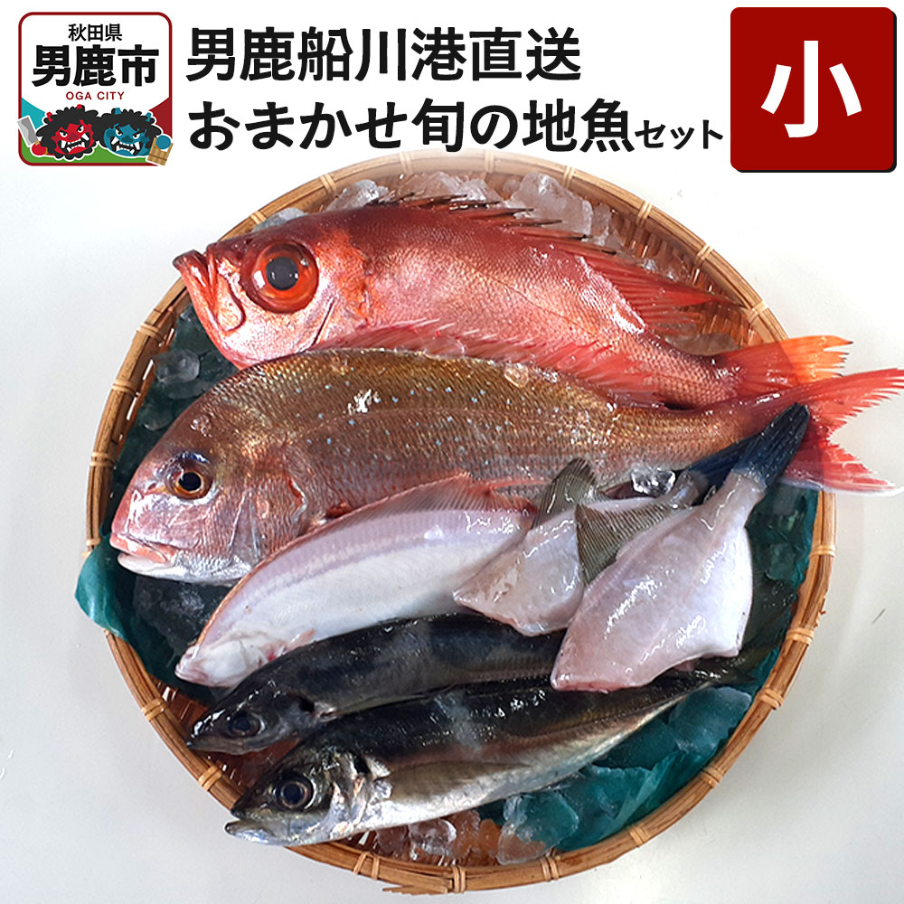 男鹿船川港直送おまかせ旬の地魚セット(小)秋田県 男鹿市 萬漁水産