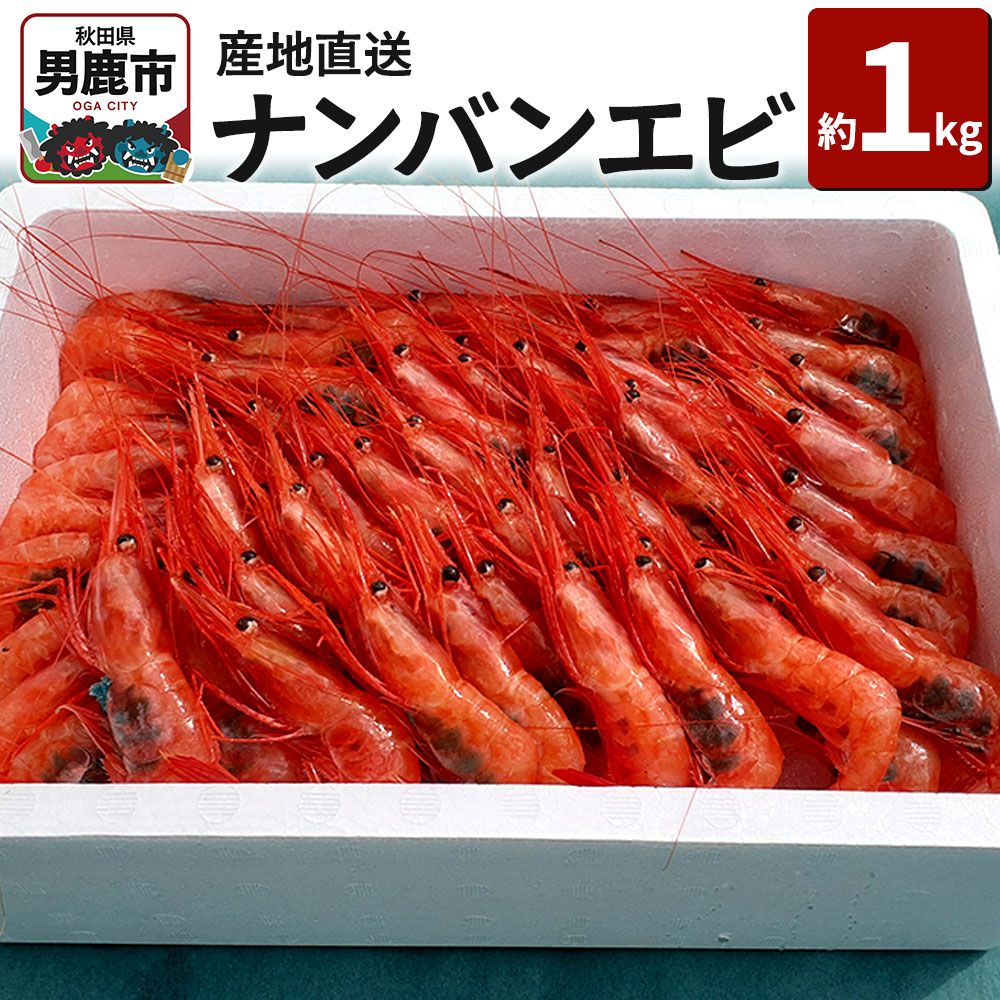 《先行受付 2026年4月上旬より発送》産地直送 ナンバンエビ 約1kg! ぷりっぷりでとろける甘さ お刺身や海鮮丼に 秋田県 男鹿市 萬漁水産