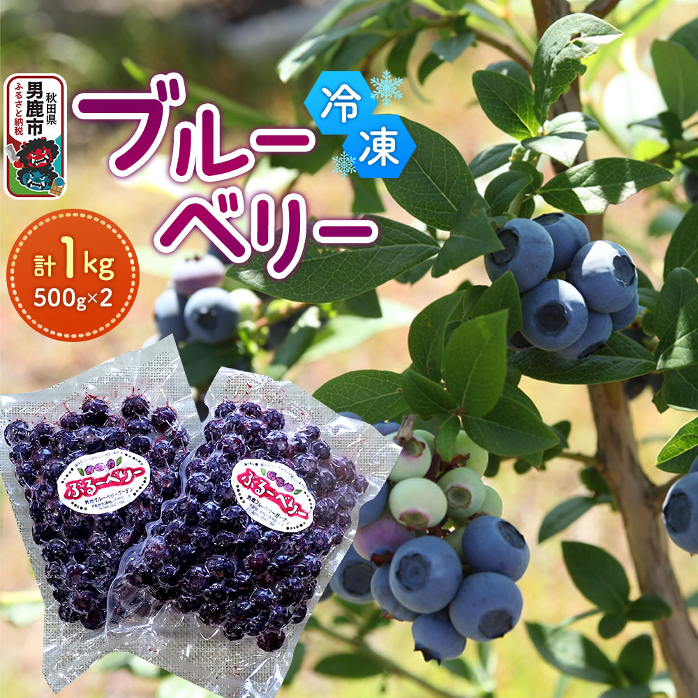 【男鹿ぶるーべりーガーデン】 冷凍ブルーベリー 500g×2パック(合計1kg)秋田県 男鹿市