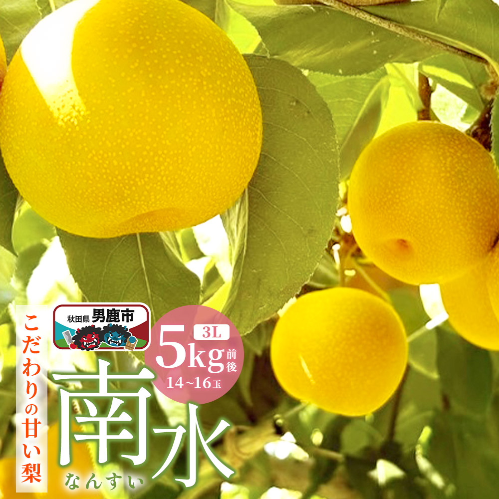 【先行受付】10月中旬~下旬発送 南水 梨 こだわりの甘い梨 5kg前後 3L 14~16玉 産地直送 旬の果物 ギフト 秋田県 男鹿市