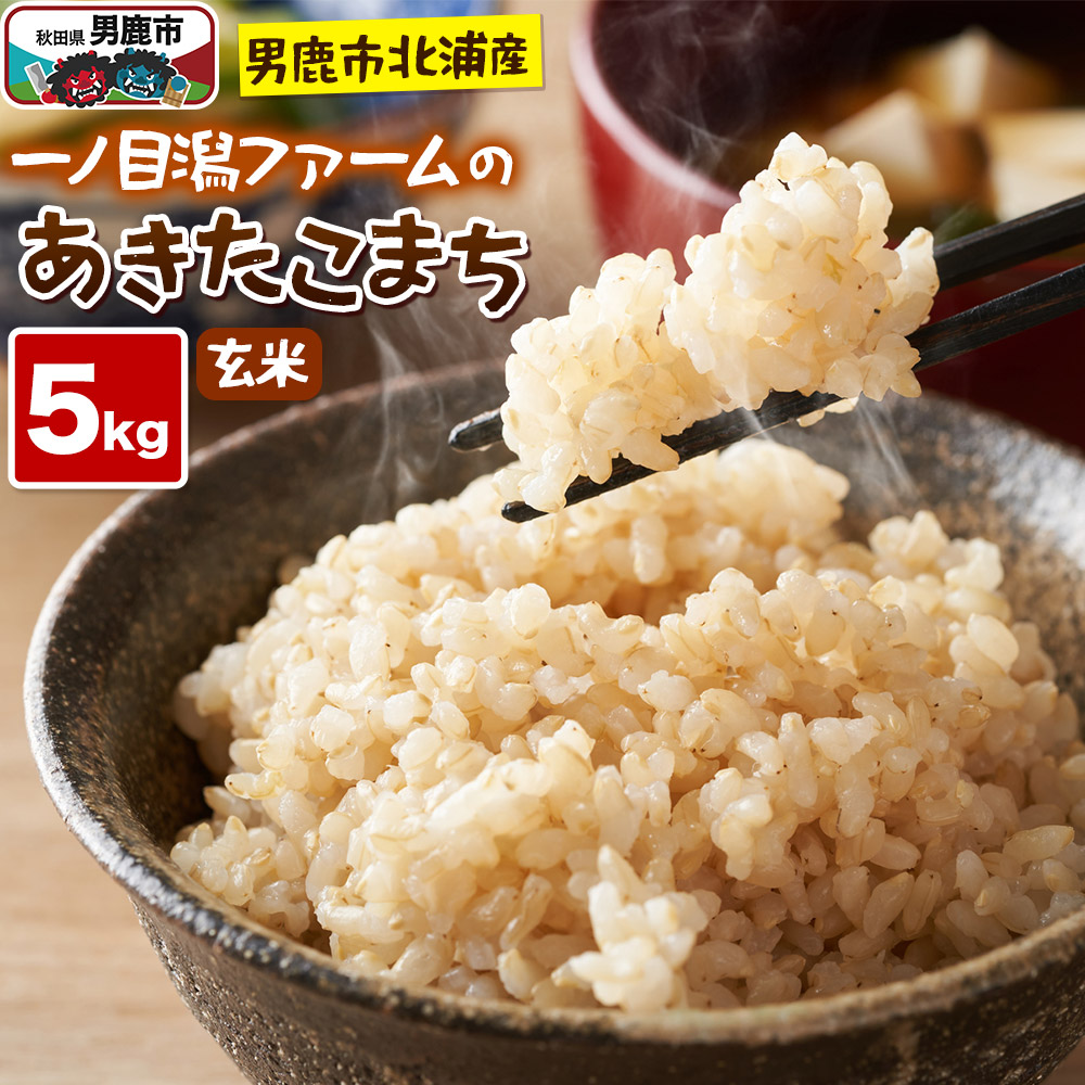 <令和7年産>「秋田県男鹿市北浦産」あきたこまち(玄米)5kg