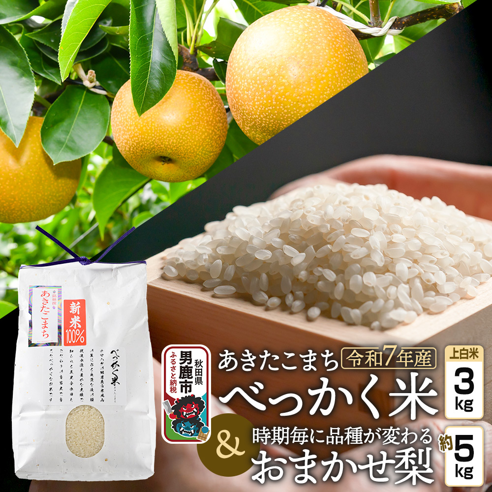 《令和7年産 新米受付》べっかく米 あきたこまち(上白米)3kgと梨 約5kgのセット 秋田県 男鹿市 男鹿ファーム直売所