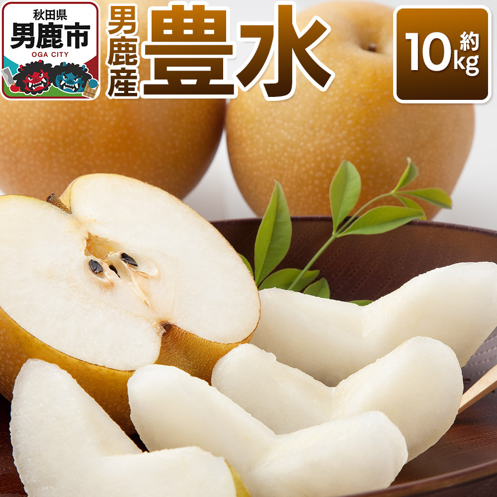 《先行受付》豊水 約10kg 9月中旬~10月上旬発送 梨 旬の果物 ギフト 秋田県 男鹿市 男鹿ファーム直売所