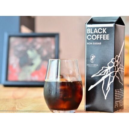 B006-R806 リキッドアイスコーヒー12本セット2026年6月30日～