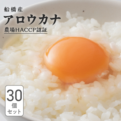 F003-R806 船橋産　地玉子「アロウカナ」　30個セット2026年6月30日～