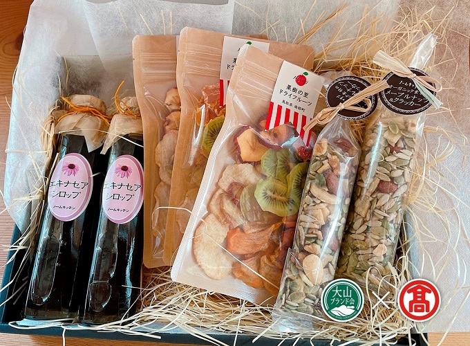 <ノームキッチン>朝ヨーグルトセット(大山ブランド会) 米子高島屋 28-DE4 0949