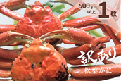 ミ(訳あり)ミ 蒸し松葉がに(ずわいがに) 1枚 冷蔵発送 カニ 境港 山芳海産 0782