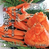 【蒸し】松葉ガニ 大2枚 訳あり ご自宅用 (1枚800~940g前後) ズワイガニ かに TM4 0714
