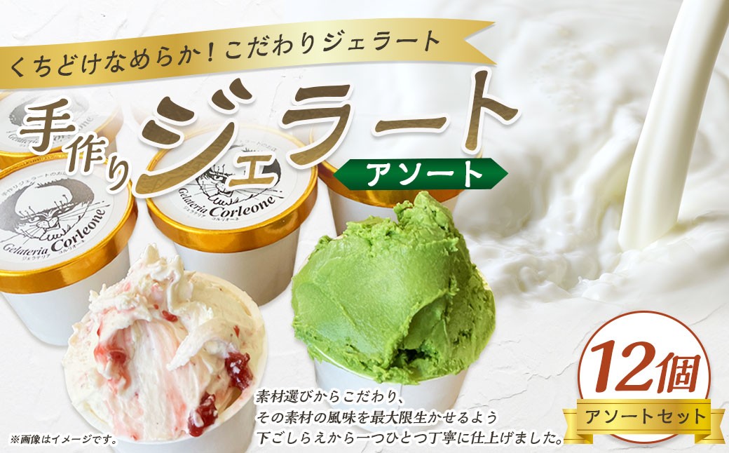 手作りジェラート 12個セット（アソート） 各110ml×12個 おまかせ 12個 フレーバー アーモンドプラリネ 抹茶 バターキャラメル ラテ ラズベリー マーブル チョコラータ ティラミス ゴルゴンゾーラ マンゴー 菊川市 静岡県