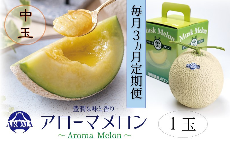 【3ヶ月定期便】静岡県産高級 アローマメロン 白等級 中玉1玉 約1.3kg以上×中玉1玉×3回 計約3.9kg以上 化粧箱入 果物 フルーツ メロン めろん 青肉 高級ブランドメロン ブランドメロン 高級メロン 贈答