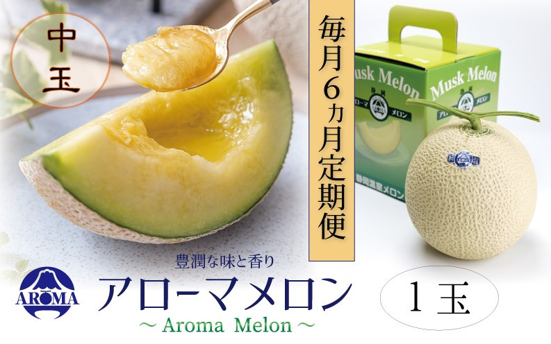 【6ヶ月定期便】静岡県産高級 アローマメロン 白等級 中玉1玉 約1.3kg以上×中玉1玉×6回 計約7.8kg以上 化粧箱入 果物 フルーツ メロン めろん 青肉 高級ブランドメロン ブランドメロン 高級メロン 贈答