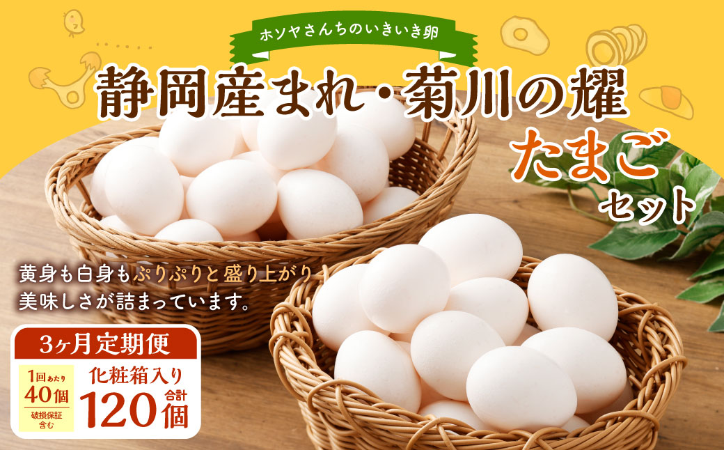 [ 3ヶ月 定期便 ]「 ホソヤさんちのいきいき卵 」40個 (割れ補償5個含む)セット×3回 計120個| 静岡産まれ 菊川の耀たまご 化粧箱入 たまご 卵 玉子 生卵 静岡 国産