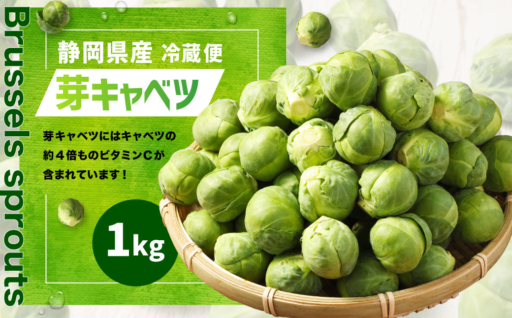 芽キャベツ 1kg 【2025年1月上旬-2月下旬発送予定】｜ 芽キャベツ メキャベツ キャベツ きゃべつ  野菜