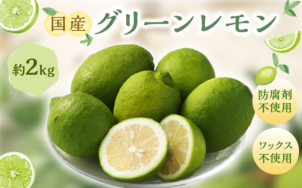 国産グリーンレモン 2kg【2024年10月上旬-11月下旬発送予定】 |フルーツ 果物 グリーンレモン レモン 柑橘 れもん 檸檬 国産 静岡県 菊川市
