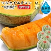 BE160【令和8年度出荷分】マルセイユメロン-島原風香-（LA×5玉） [農事組合法人　『舞岳の里』生産組合 長崎県 島原市 BE160] メロン 赤肉 果物 くだもの フルーツ 産地直送