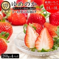 CE178長崎県知事賞受賞[厳選いちご]「ゆめのか(2L〜3L)」260g×4パック[1〜4月にお届け]