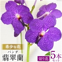 ななたん　小　花柄シャー太翠バングル SET】バングル＆(K10)LEAFYブレスレットのセット