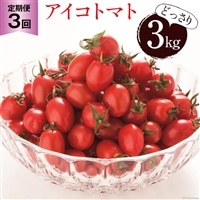 BG138【3回定期便】全国にファンがいる高級フルーツトマト アイコ どっさり！3kg