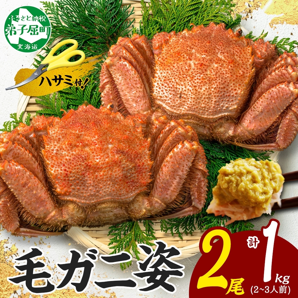 3319. 毛蟹 2尾 計1kg前後 食べ方ガイド・専用ハサミ付 カニ かに 蟹 海鮮 ボイル 送料無料 北海道 弟子屈町