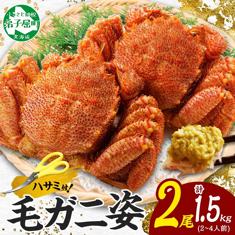 3336. 毛蟹 2尾 計1.5kg前後 食べ方ガイド・専用ハサミ付 カニ かに 蟹 海鮮 ボイル 送料無料 北海道 弟子屈町