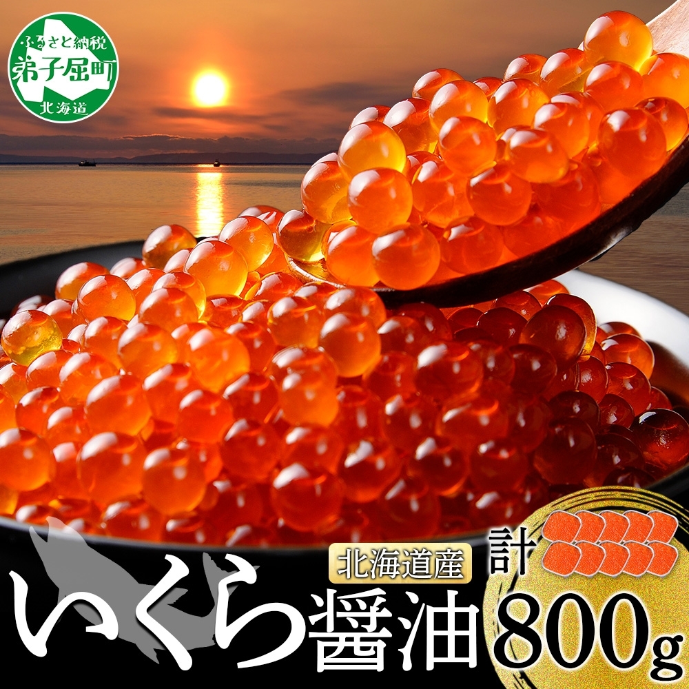 【年末配送可能 10月まで受付延長!】 3347. いくら醤油漬け 80g×10個 いくら イクラ 魚卵 魚介 海鮮 送料無料 北海道 弟子屈町