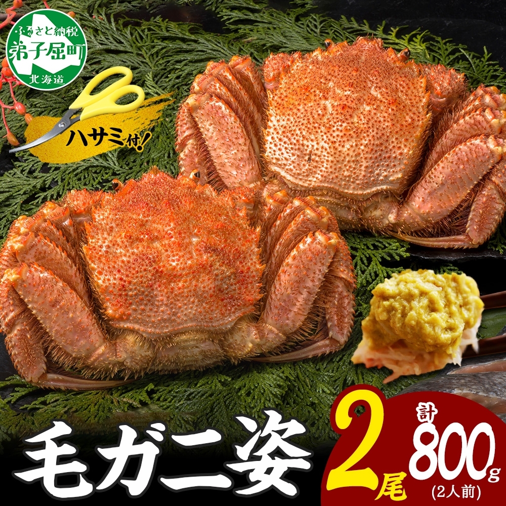 3357. 毛蟹 2尾 計800g前後 食べ方ガイド・専用ハサミ付 カニ かに 蟹 海鮮 ボイル 送料無料 北海道 弟子屈町