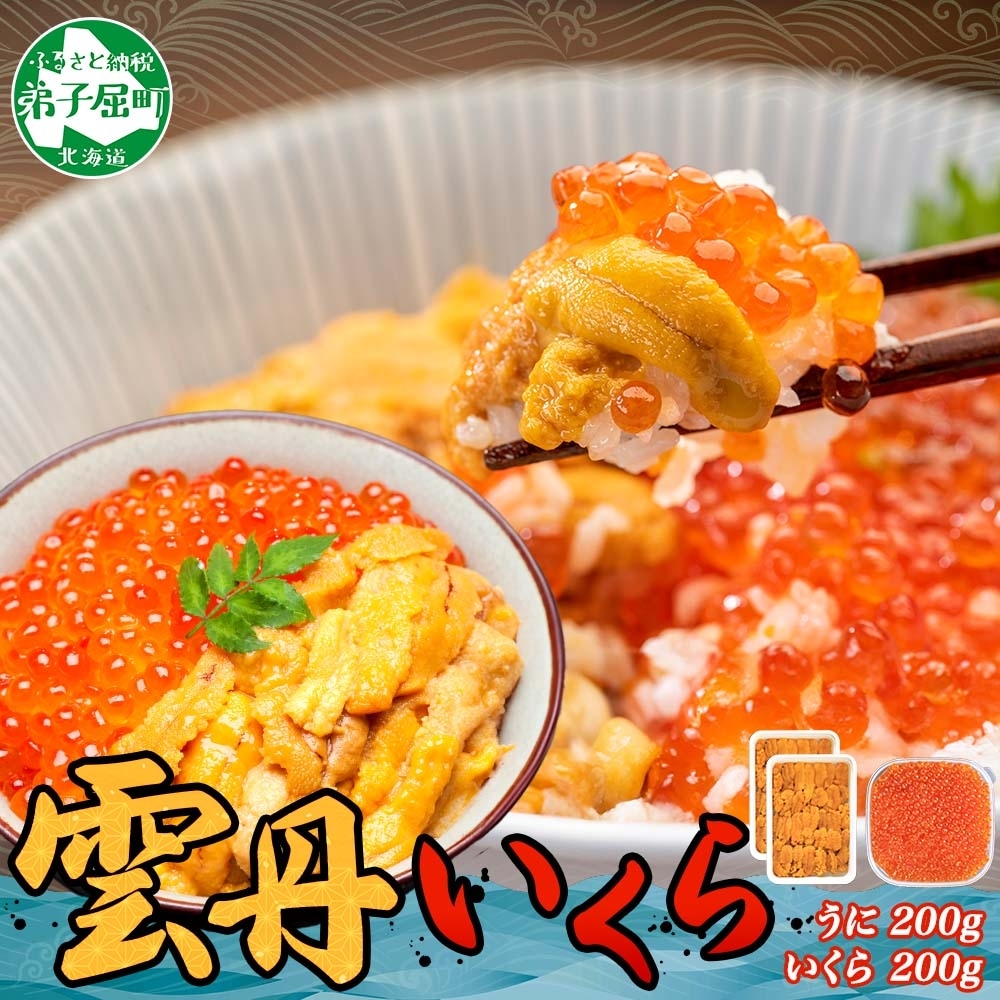 [年末配送可能 受付9月まで] 3400. ウニ チリ産 冷凍 100g×2個 いくら 200g 二色丼 うに イクラ 海鮮 期間限定 数量限定 送料無料 北海道 弟子屈町
