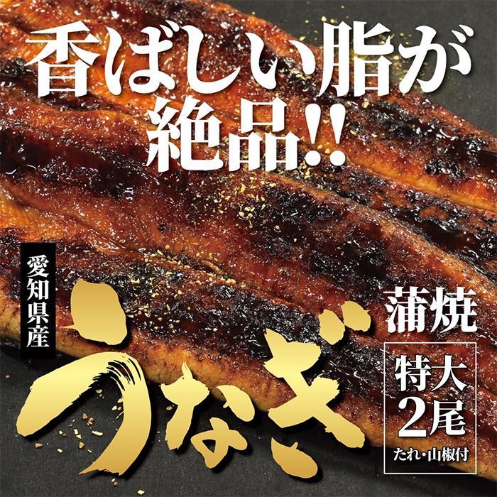 <着日指定必須>【特大・国産うなぎ・蒲焼2尾】養鰻場を知るこだわり大将の絶品うなぎ