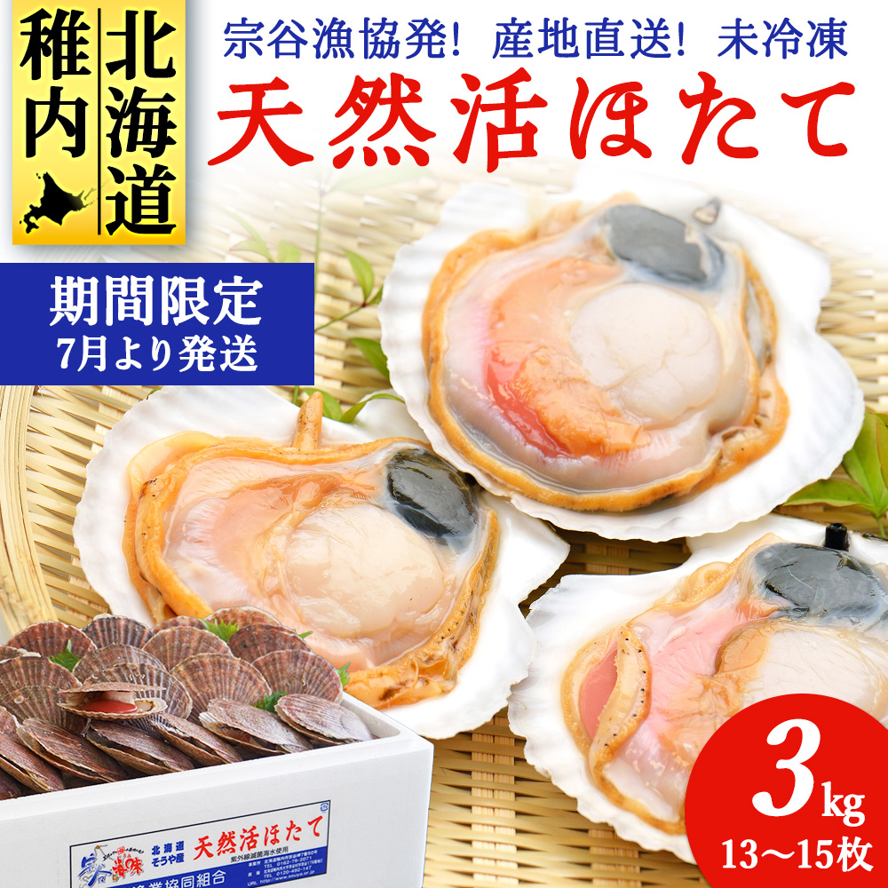 [先行受付]宗谷漁協発!産地直送!活ほたて約3kg(13〜15枚入)