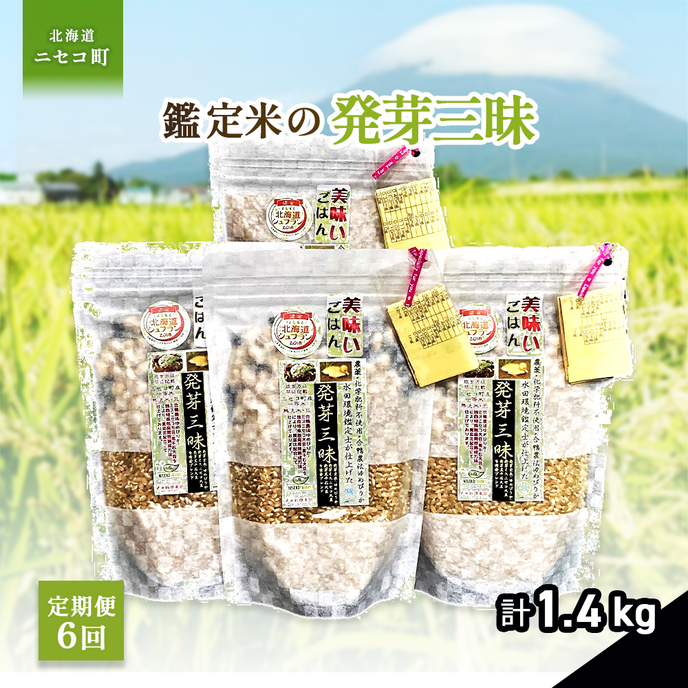 【6回定期便】【薬膳ご飯】【有機肥料使用／無農薬・無化学肥料･備蓄用向き･】鑑定米の発芽三昧1.4kg（350g×4）水田環境鑑定・米食味鑑定士鑑定米【Yesclean加工品部門認定品】【3113303】