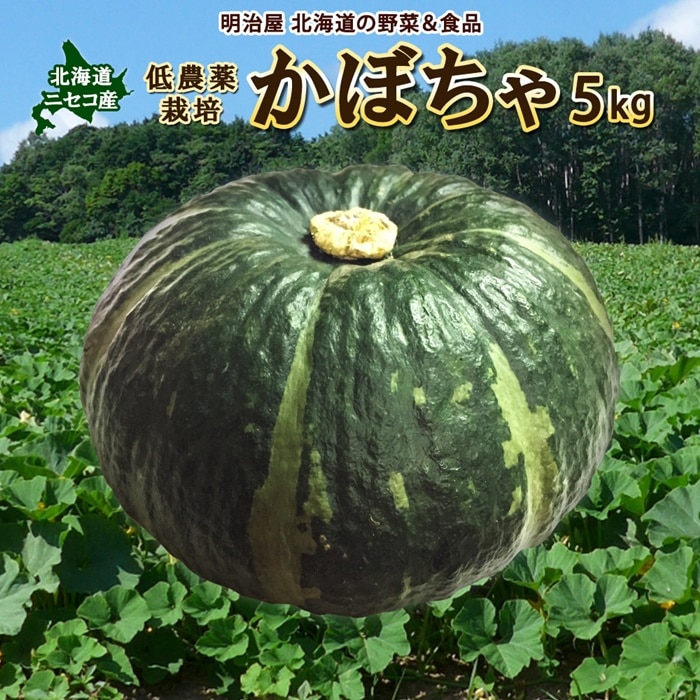 かぼちゃ　カボチャ　北海道　ふるさと納税　ニセコ