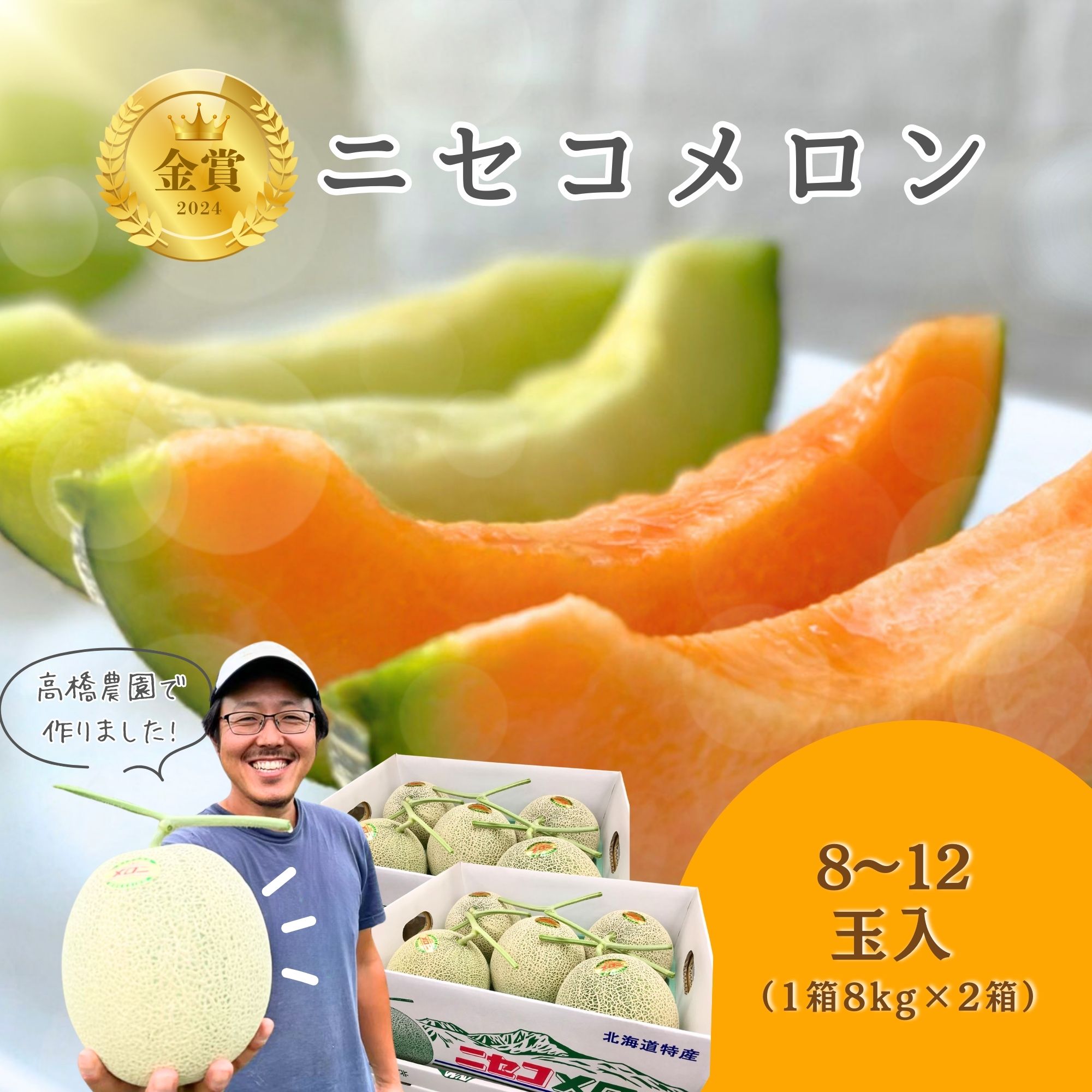 《2026年分受付中》糖度13度以上!市場には出回らない北海道ニセコメロン8～12玉（1箱8kg×2箱）/高橋農園【3700401】
