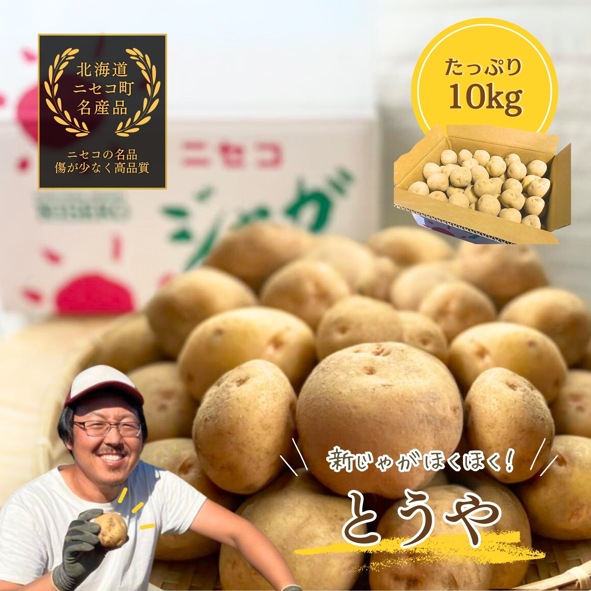 本日収穫 新じゃが とうや サイズ不選別 じゃがいも 茨城県産 20kg 本日収穫 新じゃが とうや サイズ不選別 じゃがいも 茨城県産