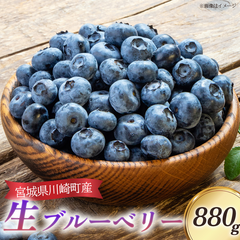 びいなすふぁあむ 生ブルーベリー 220g×4パック/計880g [04324-0345]