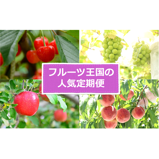 【令和7年産先行予約】 《定期便5回》 フルーツ王国の人気便 『フードシステムズ』 山形県 南陽市 [2264-R7]