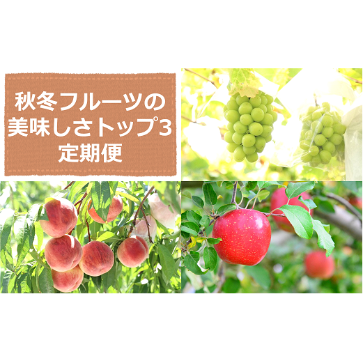 【令和7年産先行予約】 《定期便3回》 秋冬フルーツの美味しさトップ3定期便 『フードシステムズ』 山形県 南陽市 [2263-R7]
